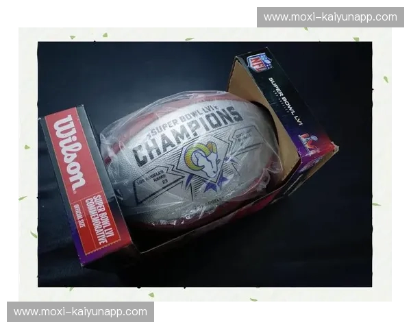 赛程NFL:热血赛季全攻略