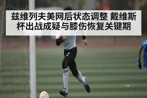 兹维列夫美网后状态调整 戴维斯杯出战成疑与膝伤恢复关键期