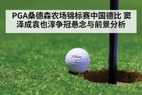 PGA桑德森农场锦标赛中国德比 窦泽成袁也淳争冠悬念与前景分析